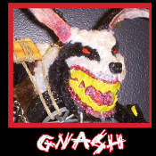 Gnash Mug.jpg
