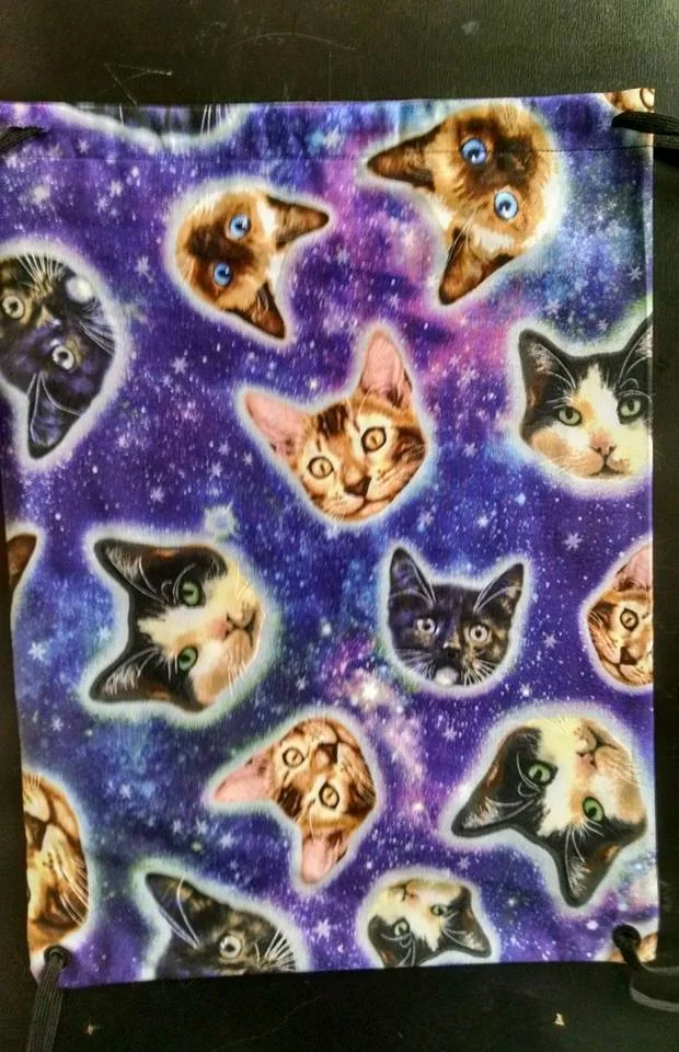 SpaceCatsBag.jpg