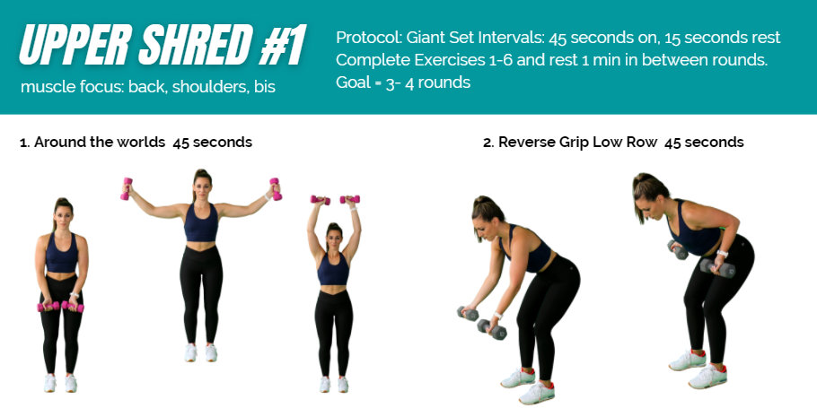 camp shred 6 week virtual workout challenge