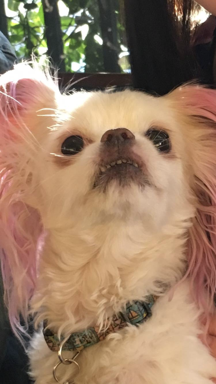 The LA Natch Beaut meet up was EVERYTHING!