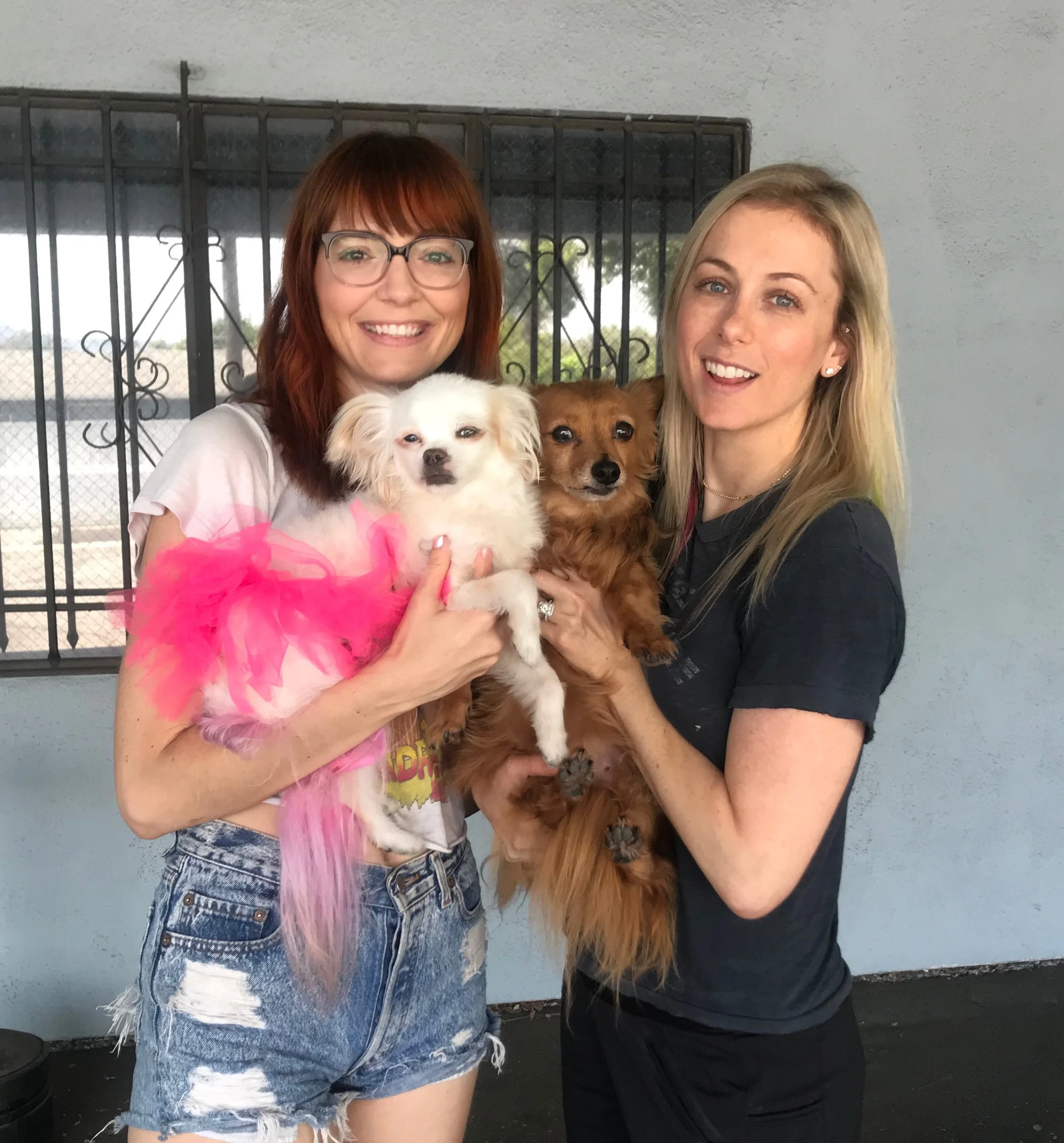 Jackie, Chooch, Blanche, and Iliza Shlesinger