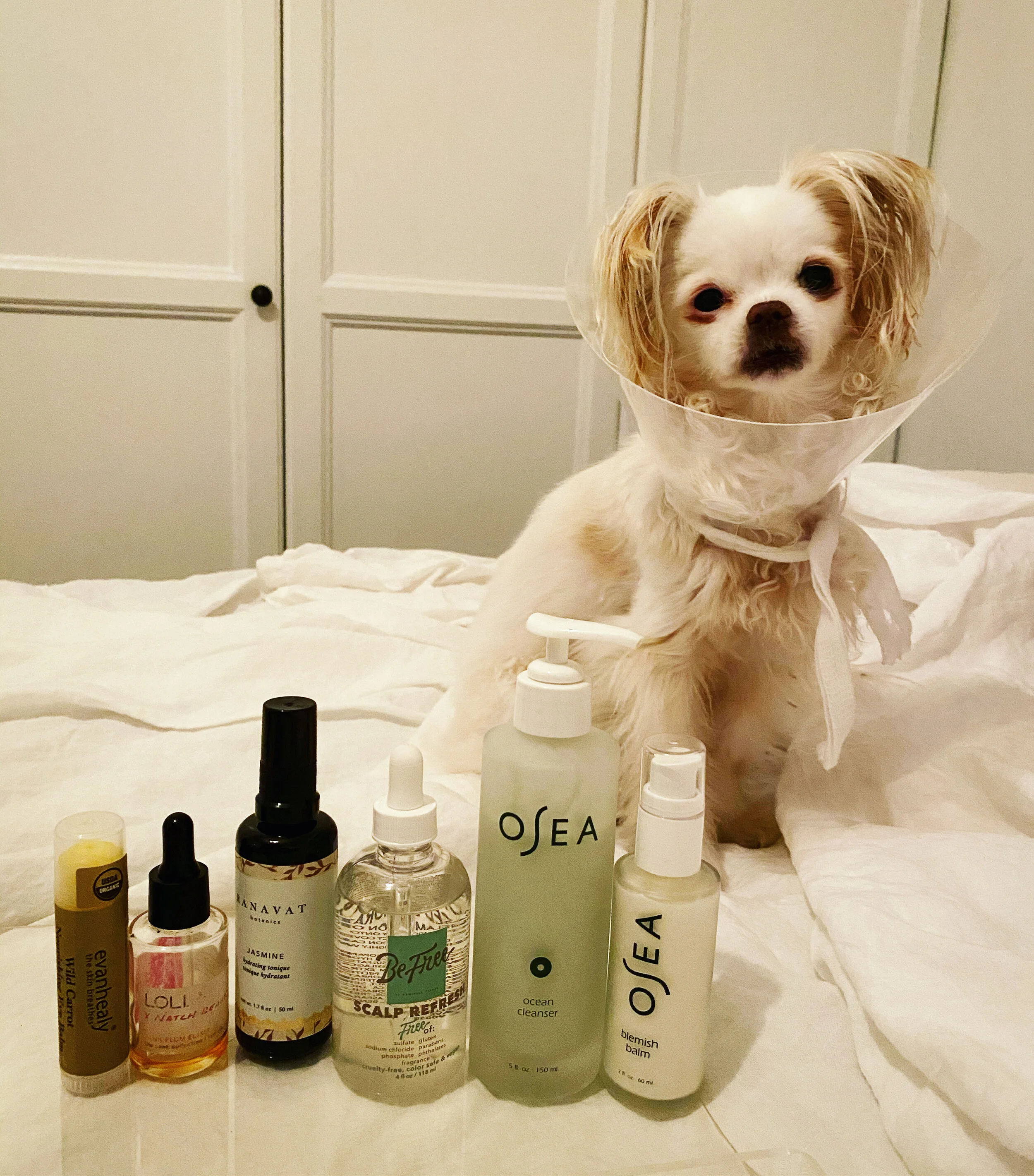 Another Quarantine Moment with Jackie J Episode Guide