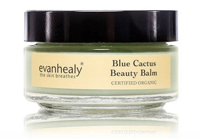 Evan Healy Blue cactus beauty bomb