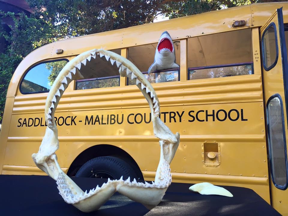 Shark Jaws at Malibu Wines shark event
