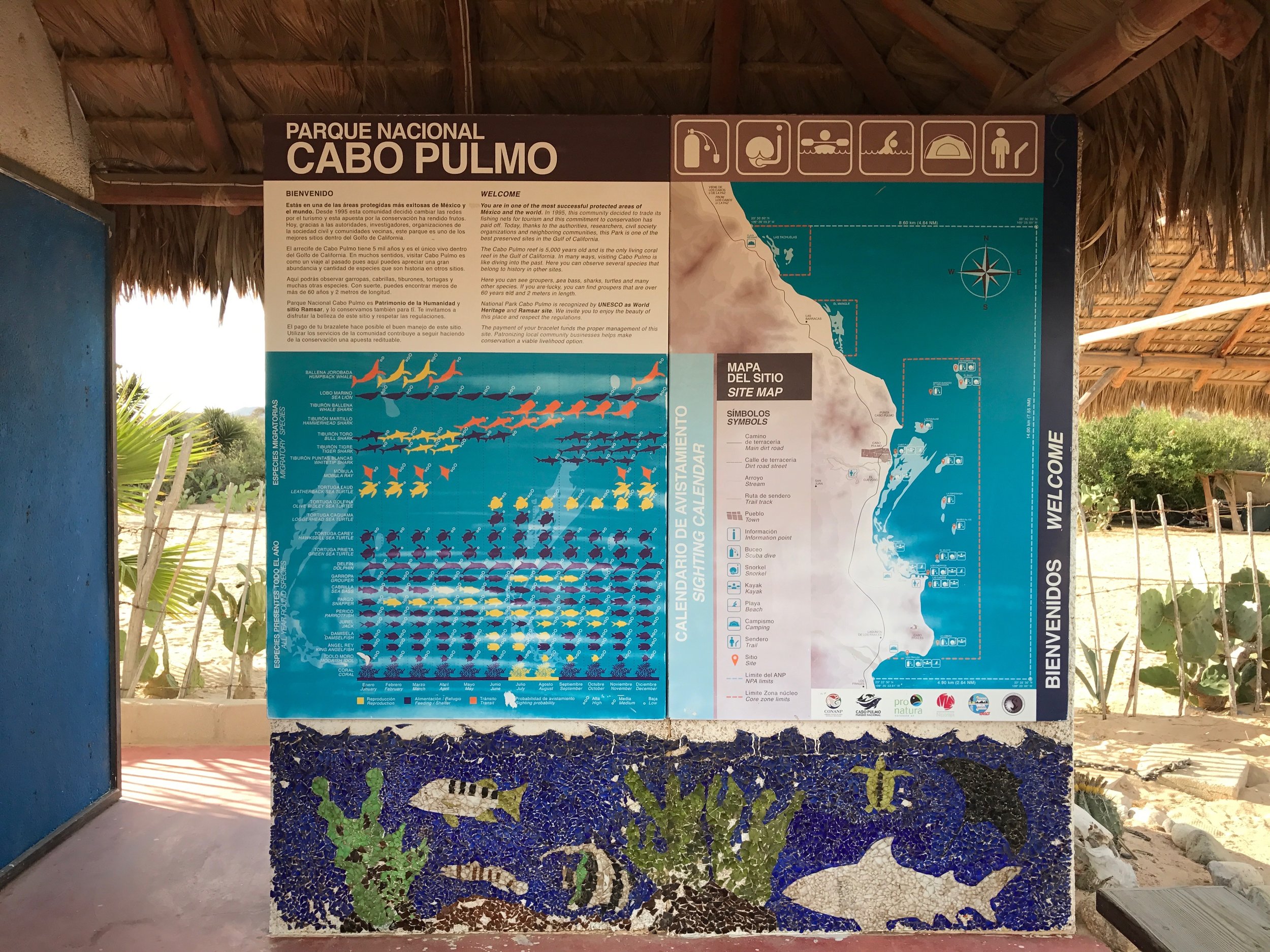 Cabo Pulmo Marine Park map