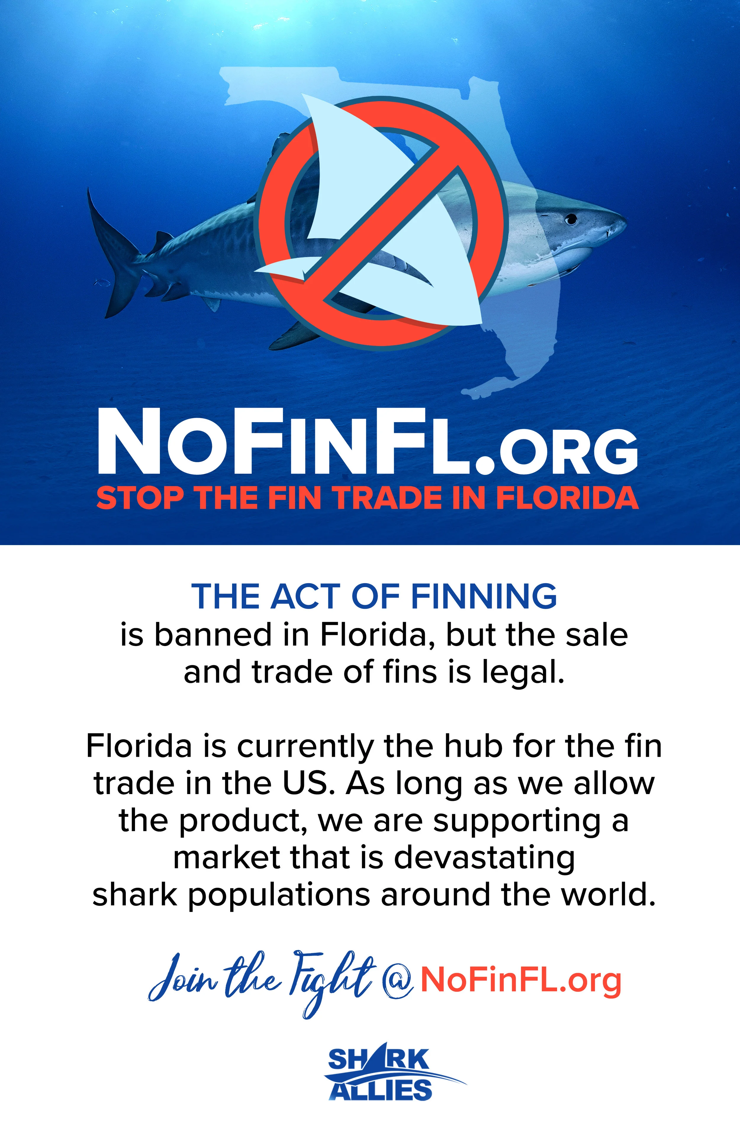 11x17_NoFinFl_light.jpg