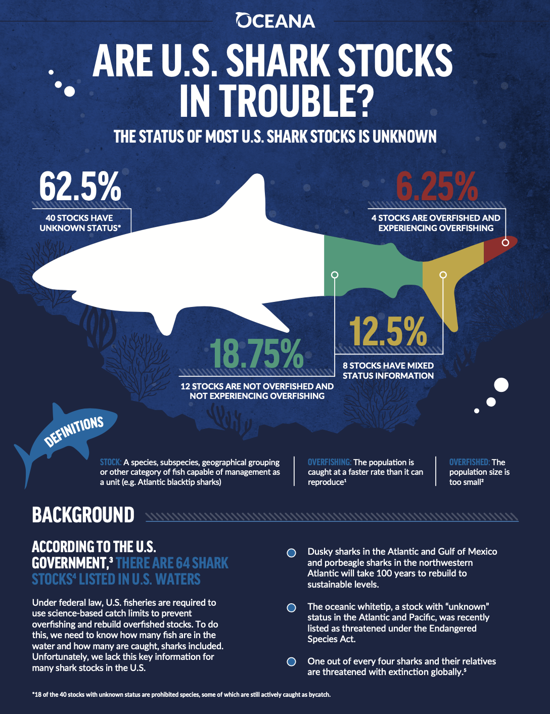 Sharks Make a Big Impact for Florida's Economy