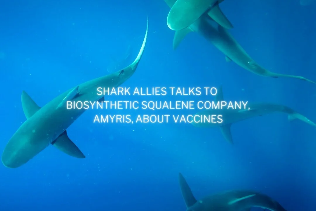 Shark Allies Talks to Biosynthetic Squalene Company, Amyris About Vaccines