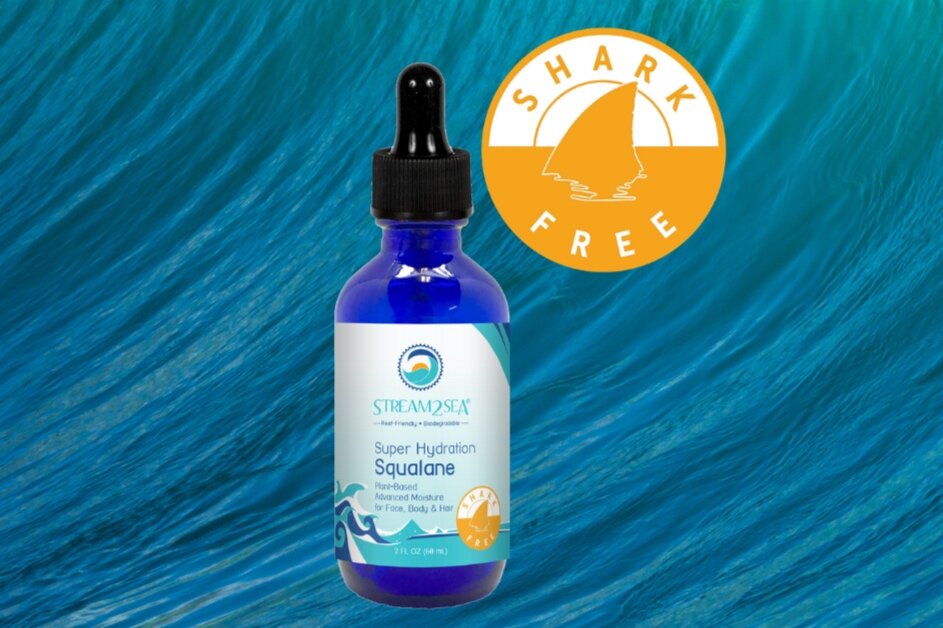 Stream2Sea is Shark Free!