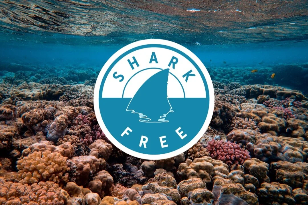 Shark Allies Launches Shark-Free Label for Consumer Products - Sport Diver