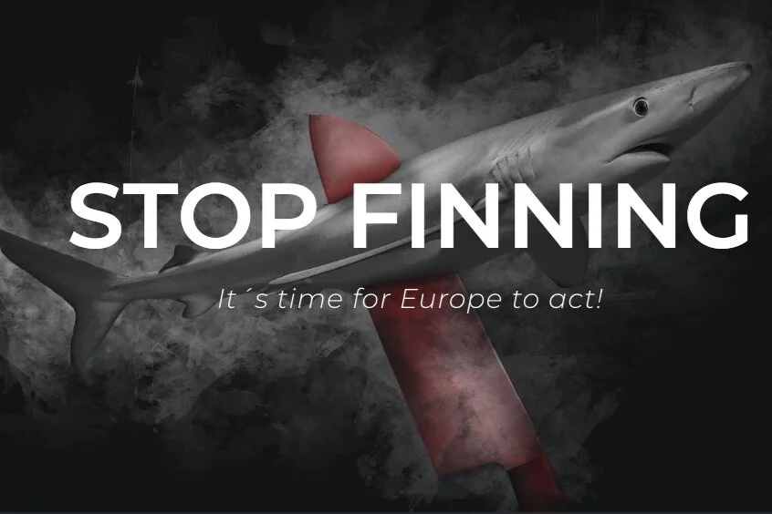 Stop Finning EU