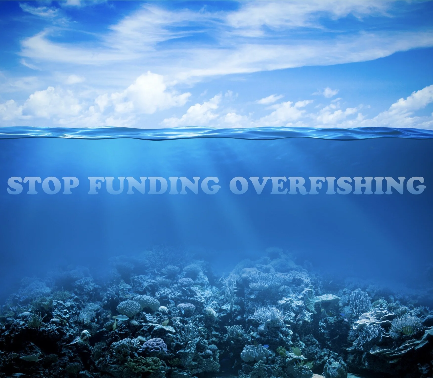 Stop Funding Overfishing