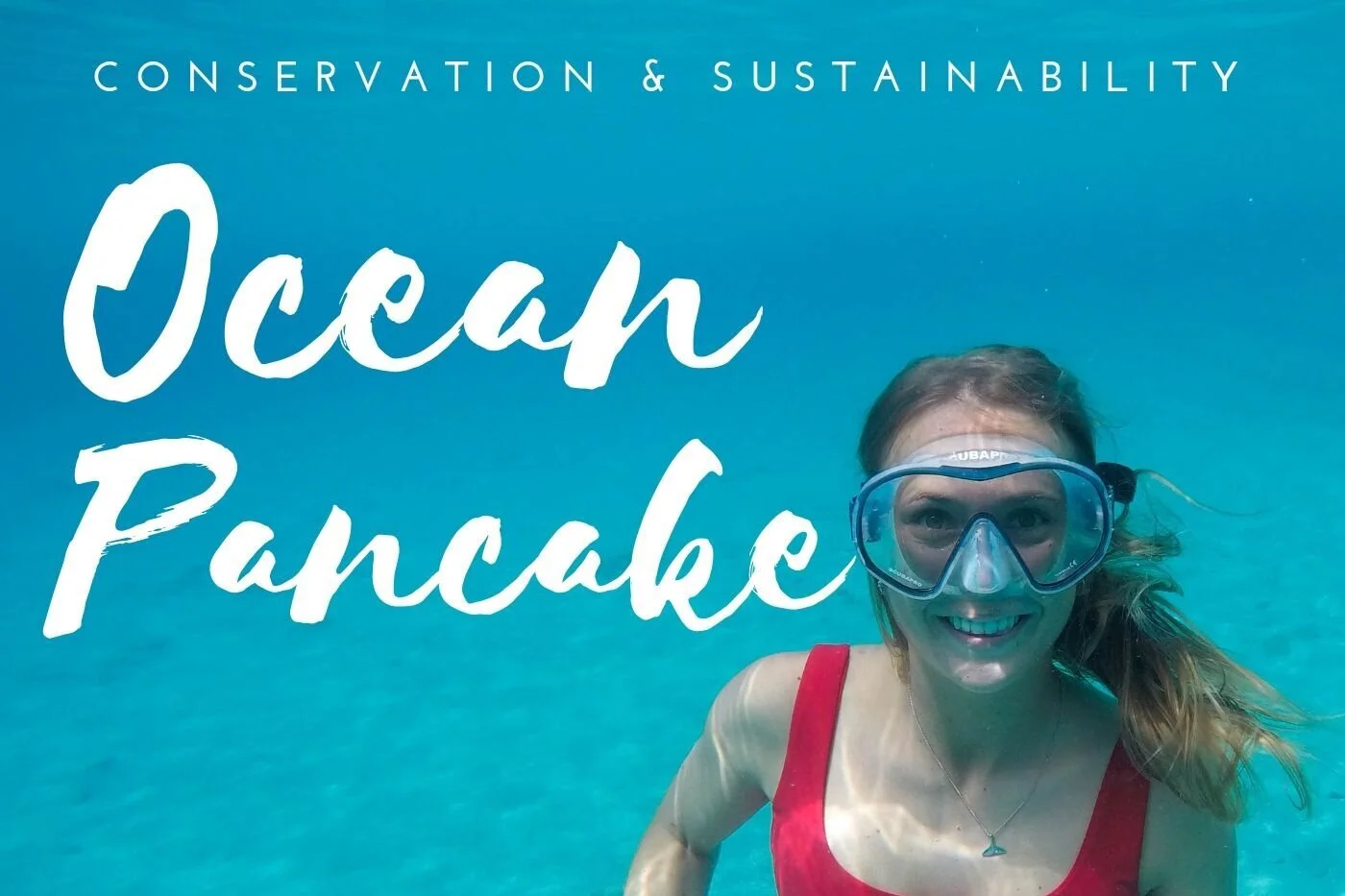 Why are Sharks Killed for Covid 19 Vaccine with Shark Allies? - Ocean Pancake Podcast