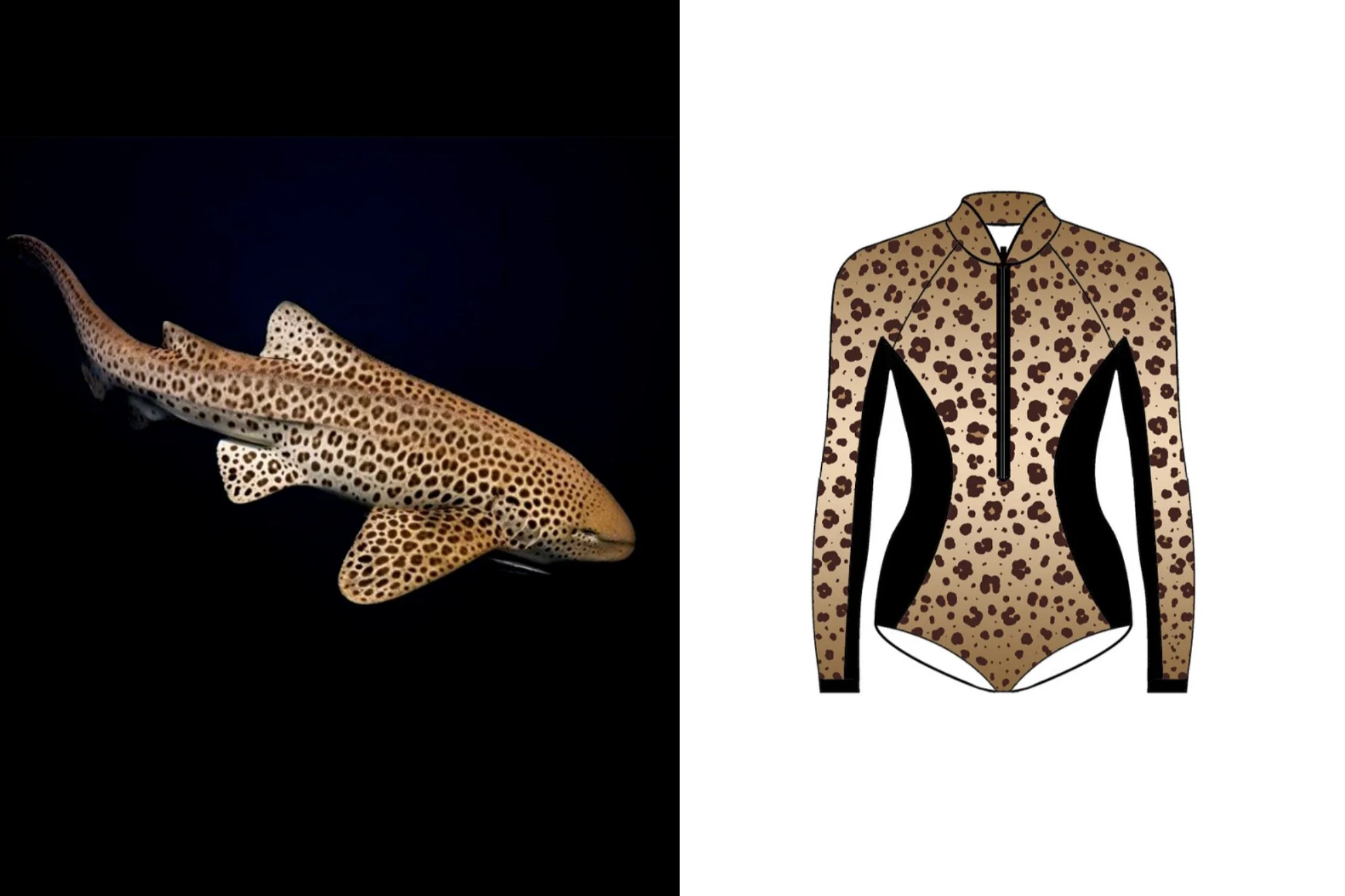 Limited Edition Leopard Shark Suit by Ocean Mimic