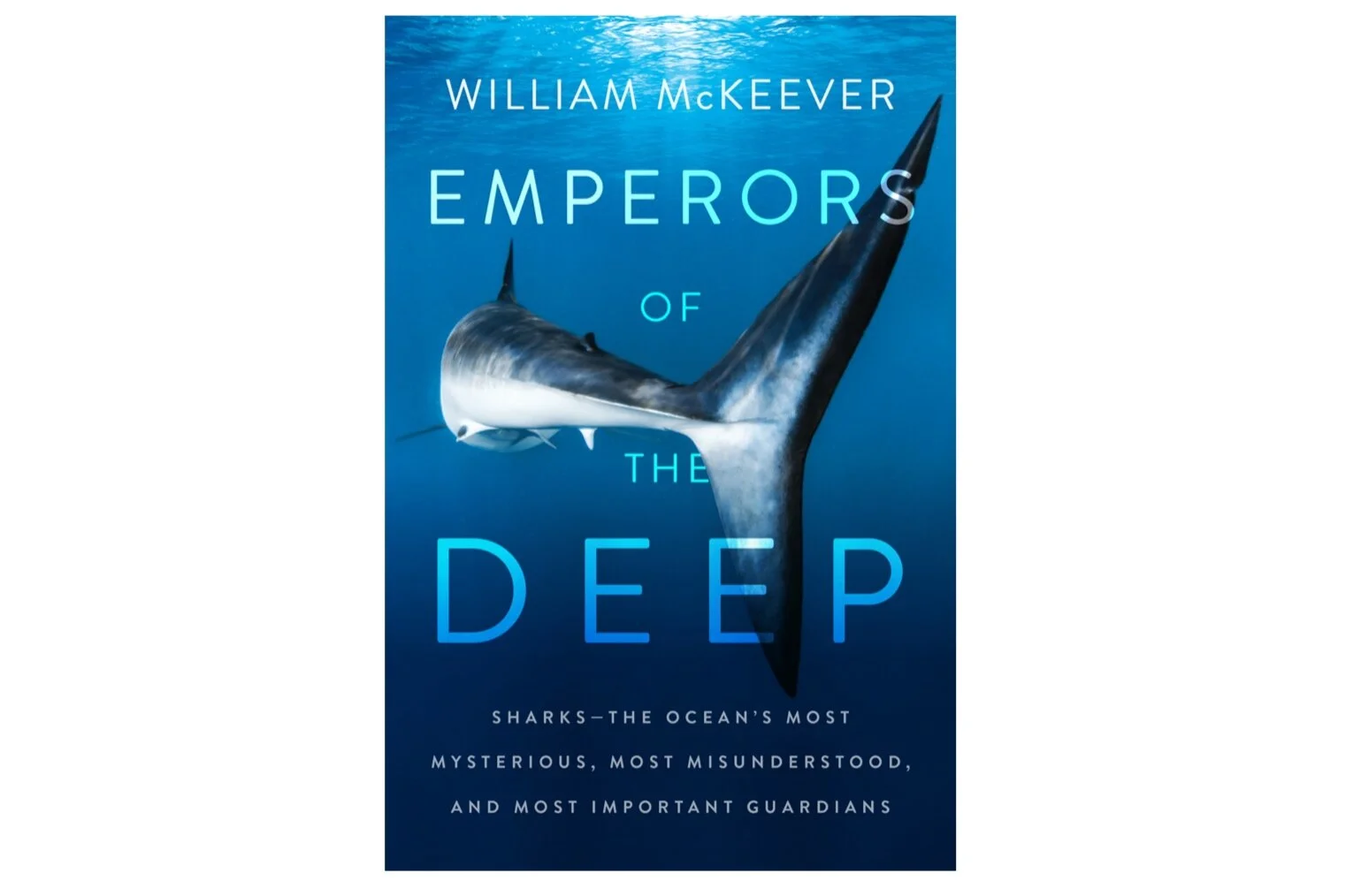 "Emperors of the Deep" Donates $5 to Shark Allies