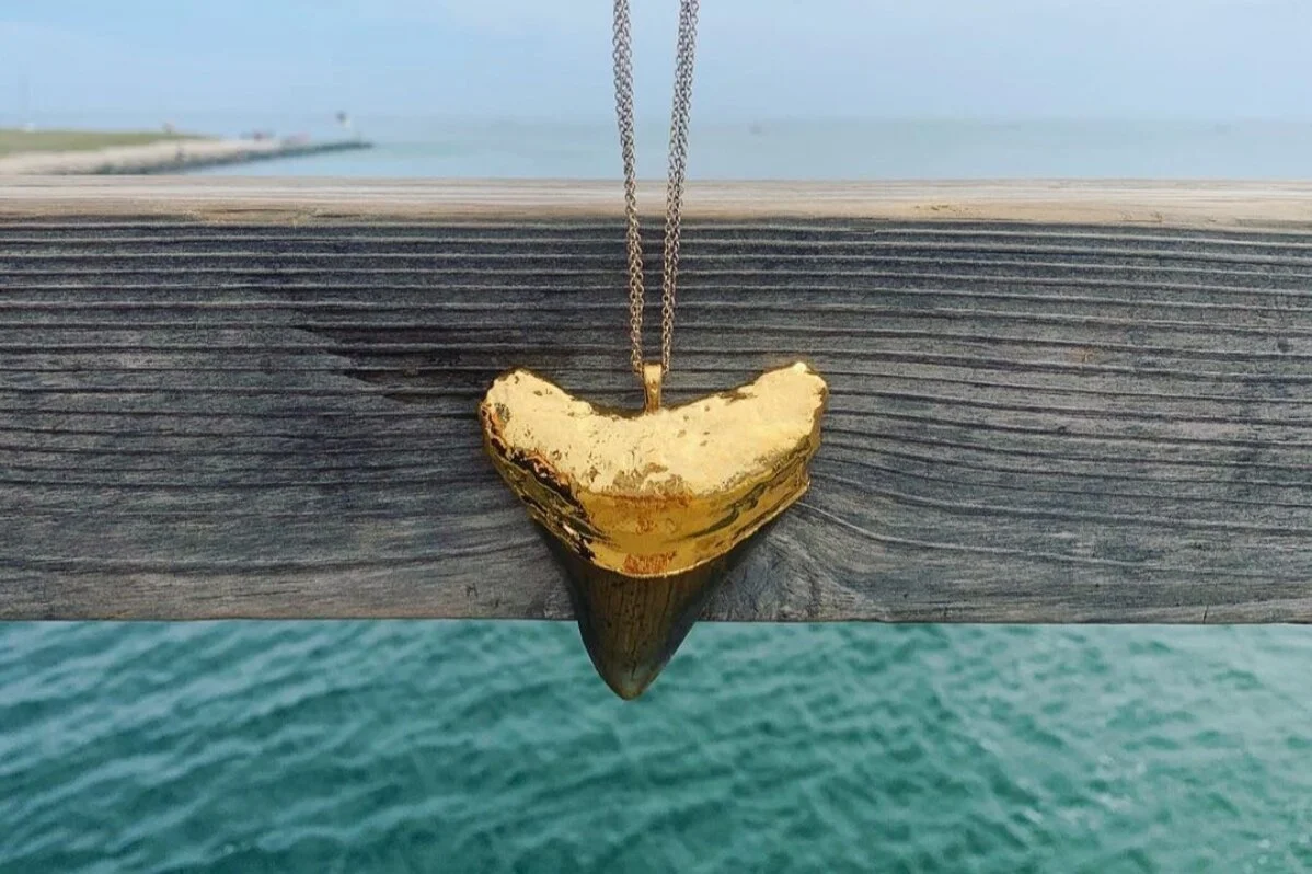 Fin Montauk is Shark Safe, and Supports Shark Allies!