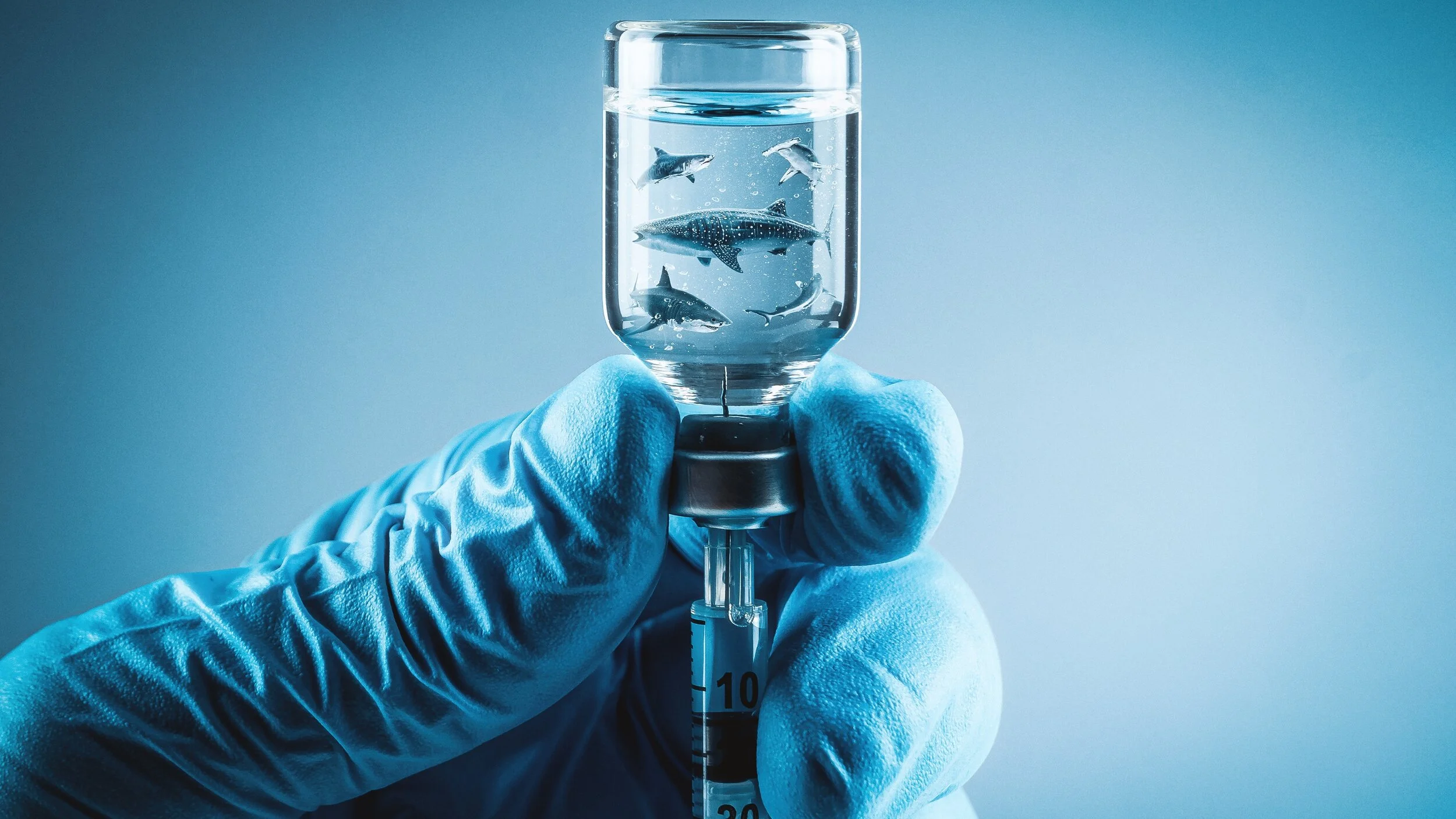 Shark Free Vaccines on FairchildTV Network 