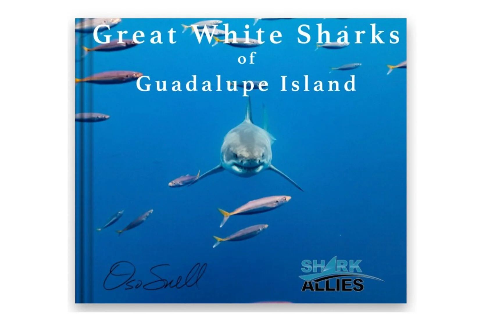 Great White Sharks of Guadalupe Island - Peter “Oso” Snell