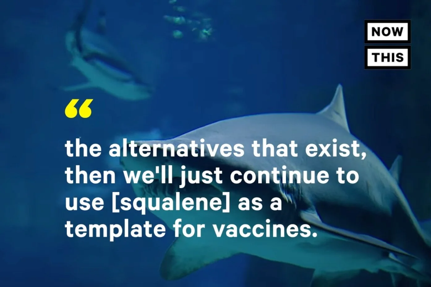 Here's What To Know About Vaccines and Sharks - NowThis News