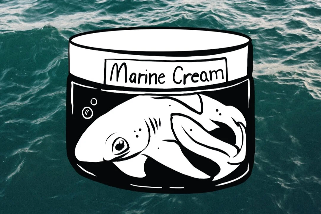 Shark Allies Squalene Week: Is Biotechnology the Answer to a More Sustainable Beauty Industry? - Fashionista