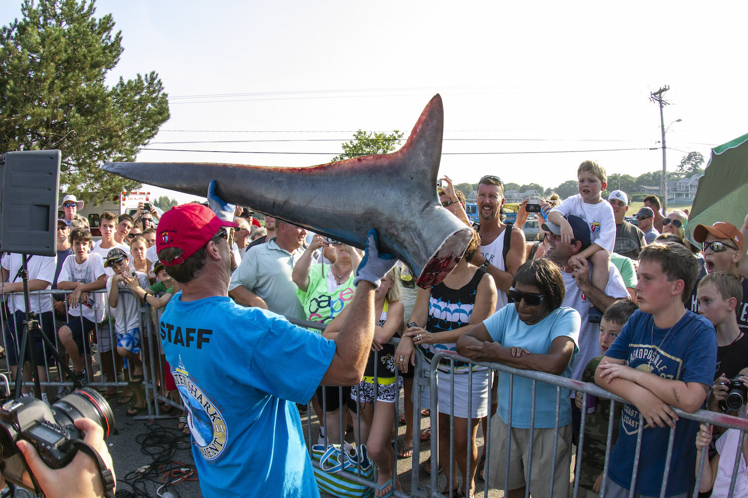 Shark Fishing Tournaments