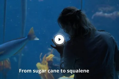 From Sugar Cane to Squalane - BBC StoryWorks