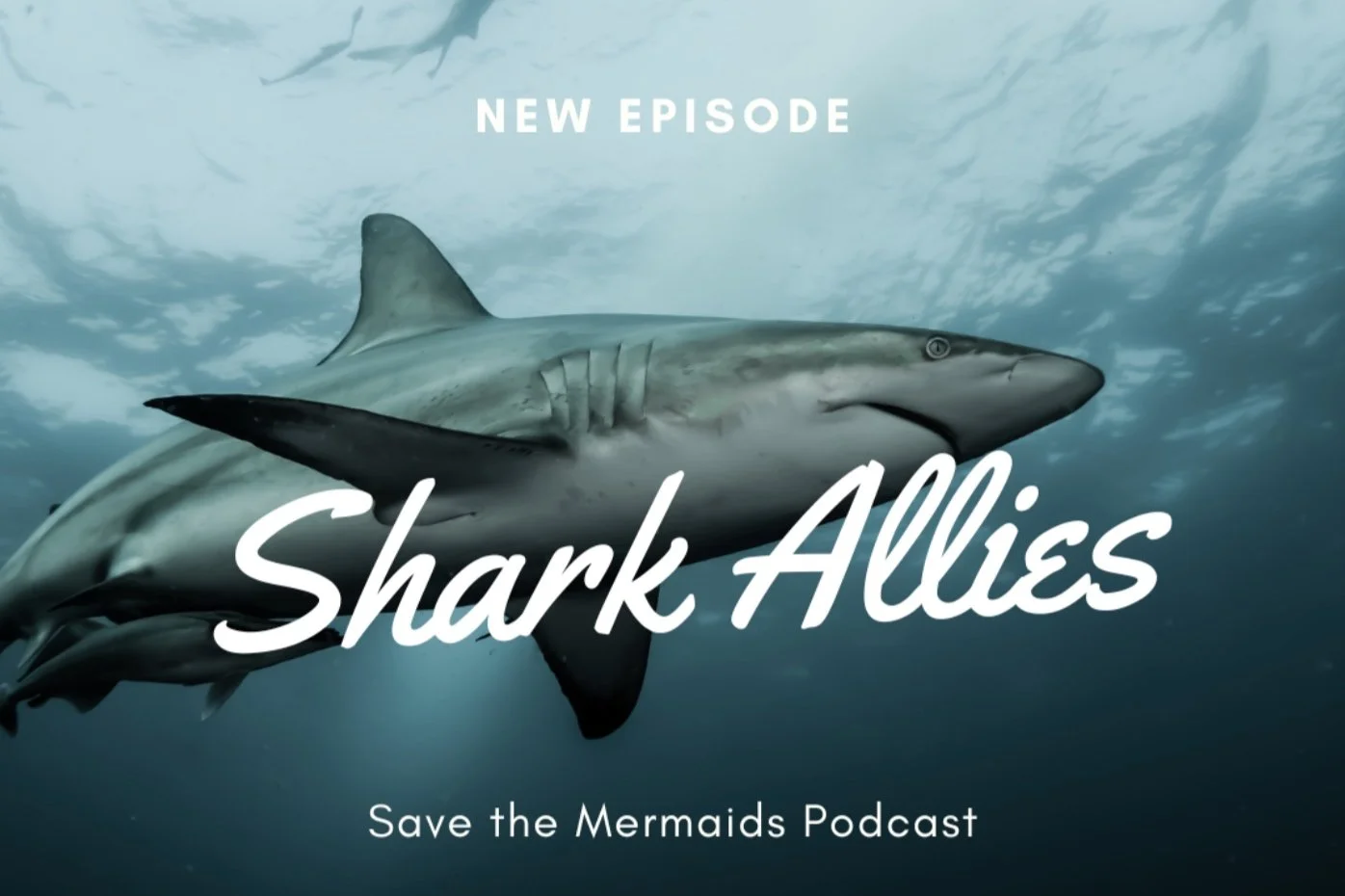 Save the Mermaids Podcast