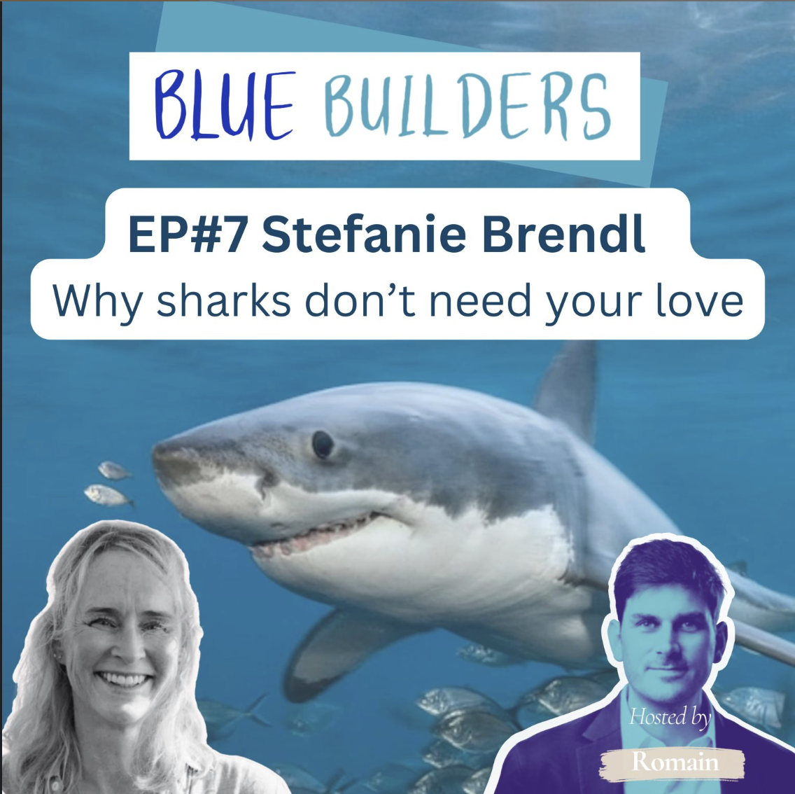 Blue Builders Podcast interview with Stefanie Brendl
