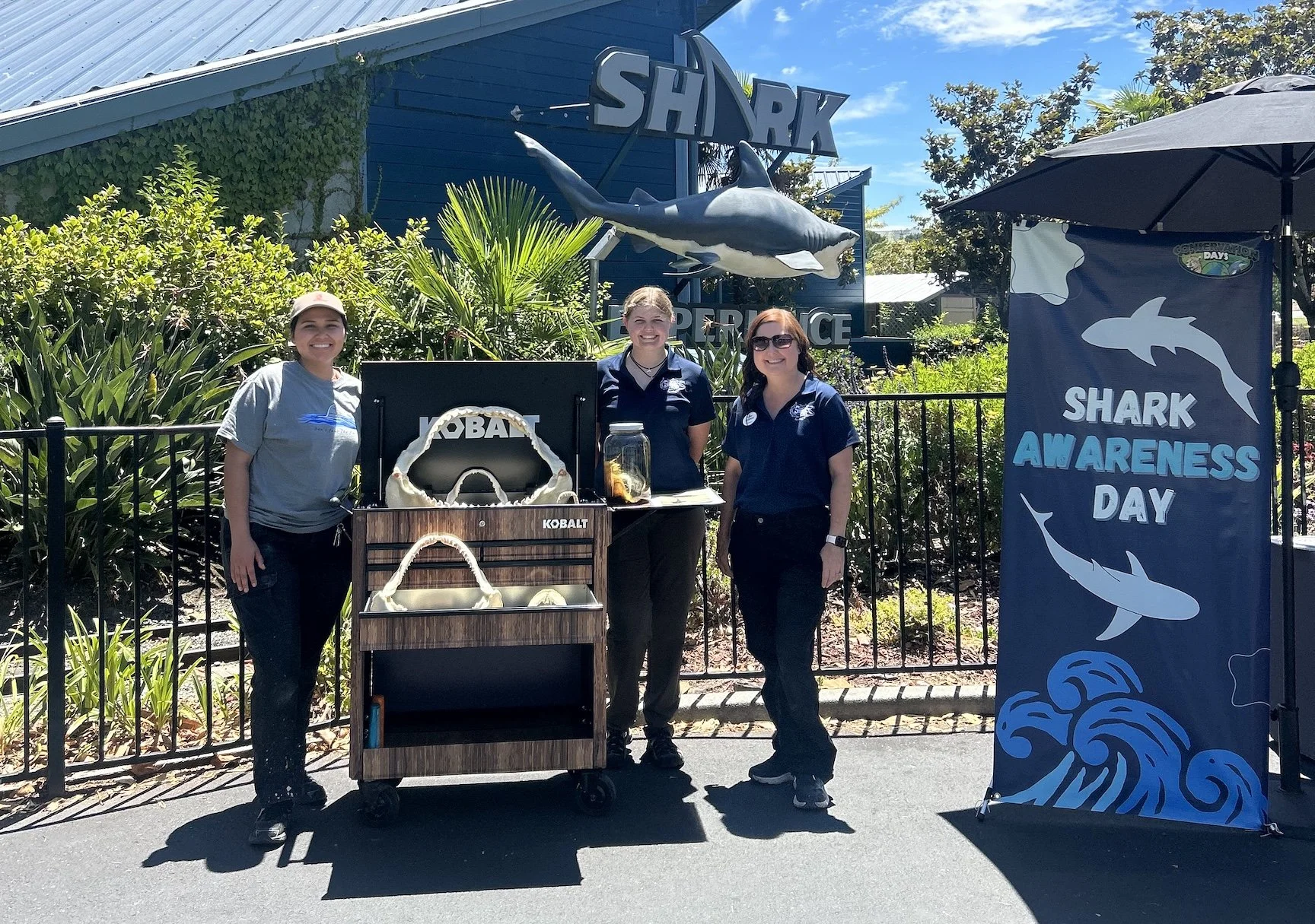 Six Flags Shark Awareness Day