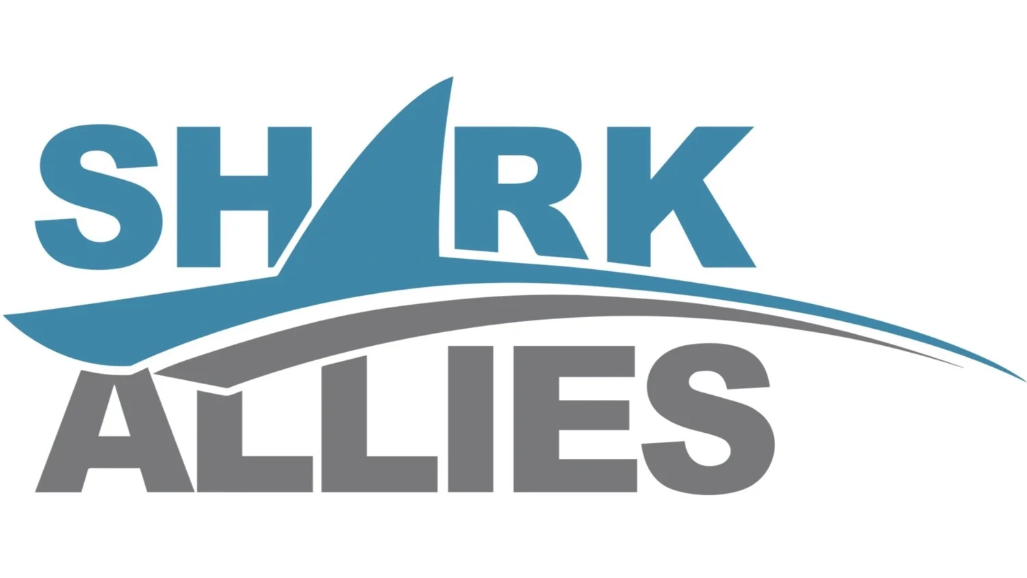 Taking Action To Save Sharks Shark Allies Taking Action To Save Sharks Shark Allies