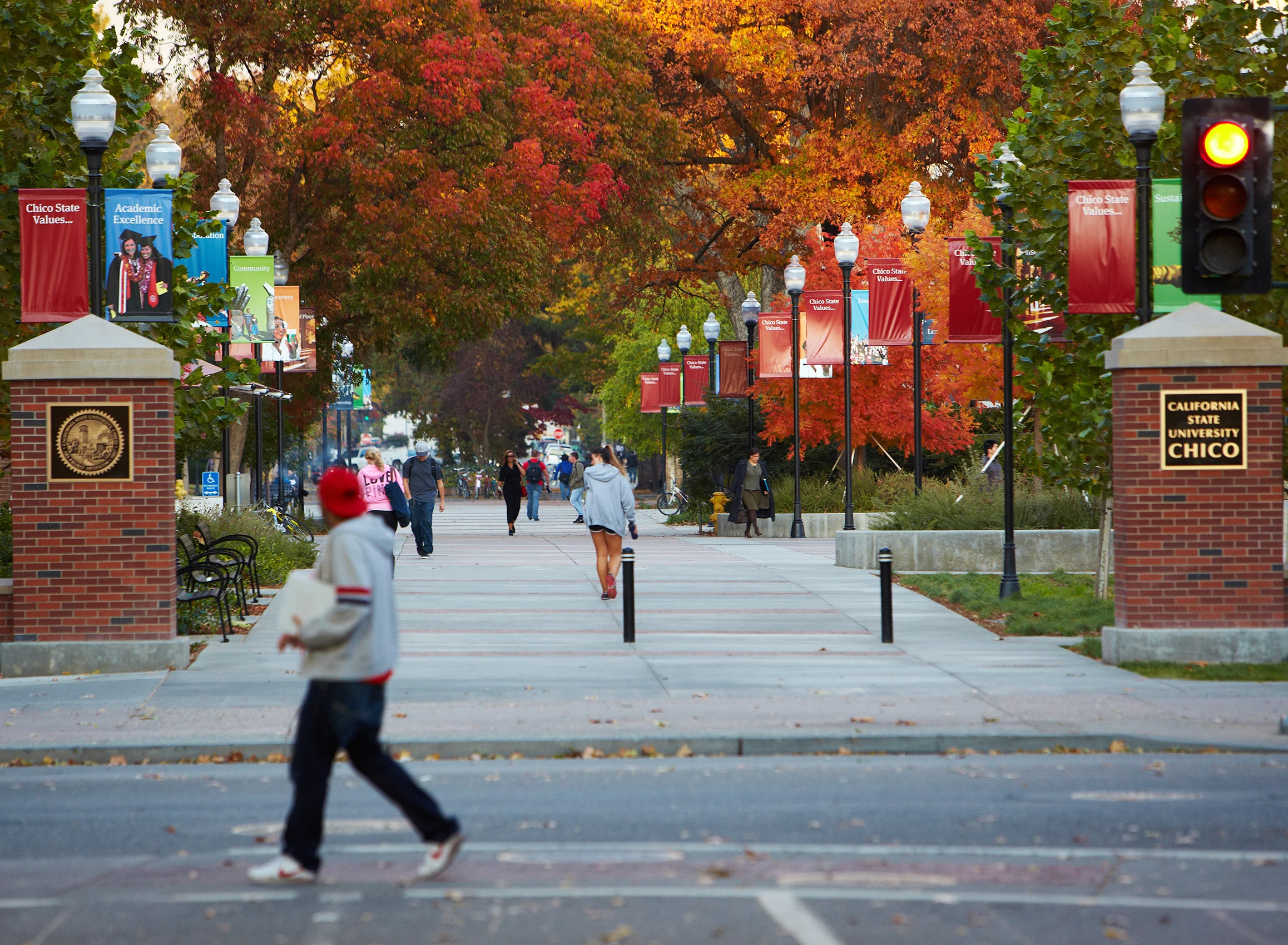 CHICO_STATE_IMG_8271.jpg