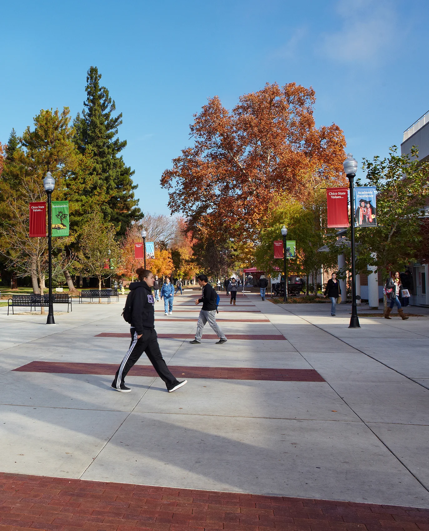 CHICO_STATE_IMG_9113.jpg