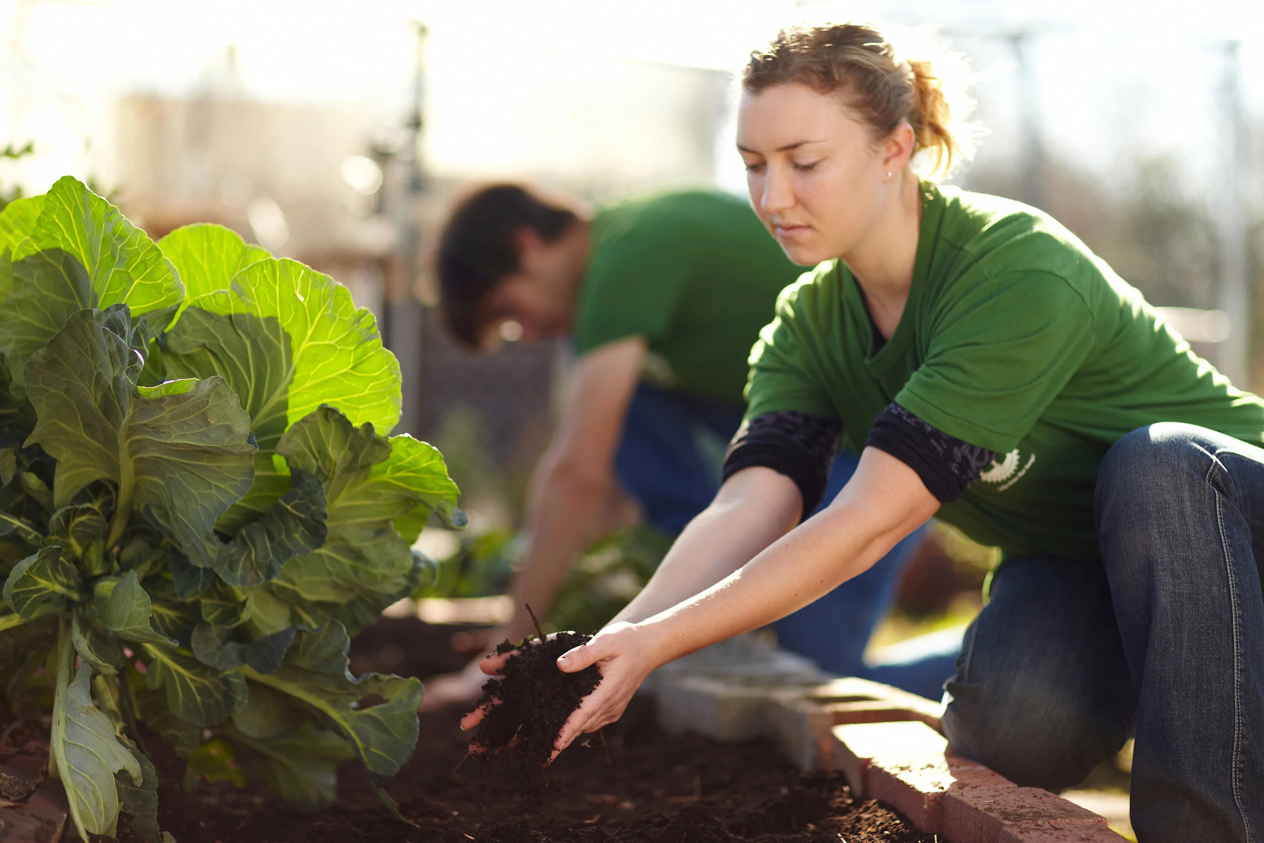 Chico_State_wormsoil_IMG_2604_Adjusted.jpg