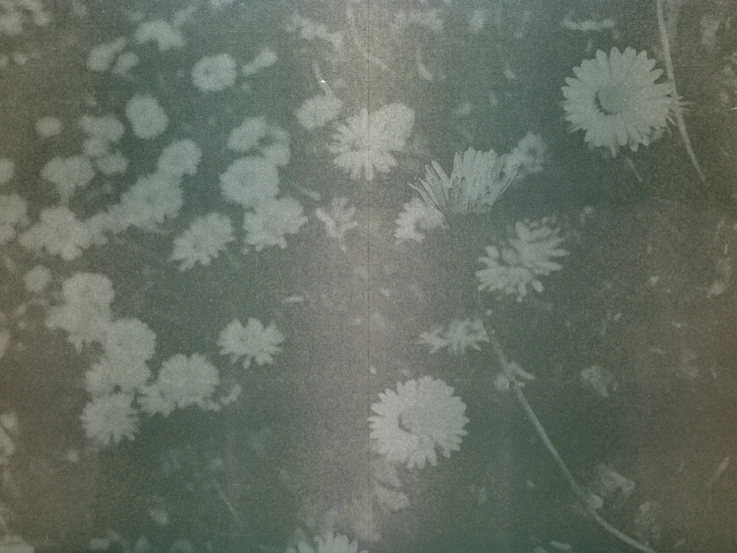 vintage flowers.jpg