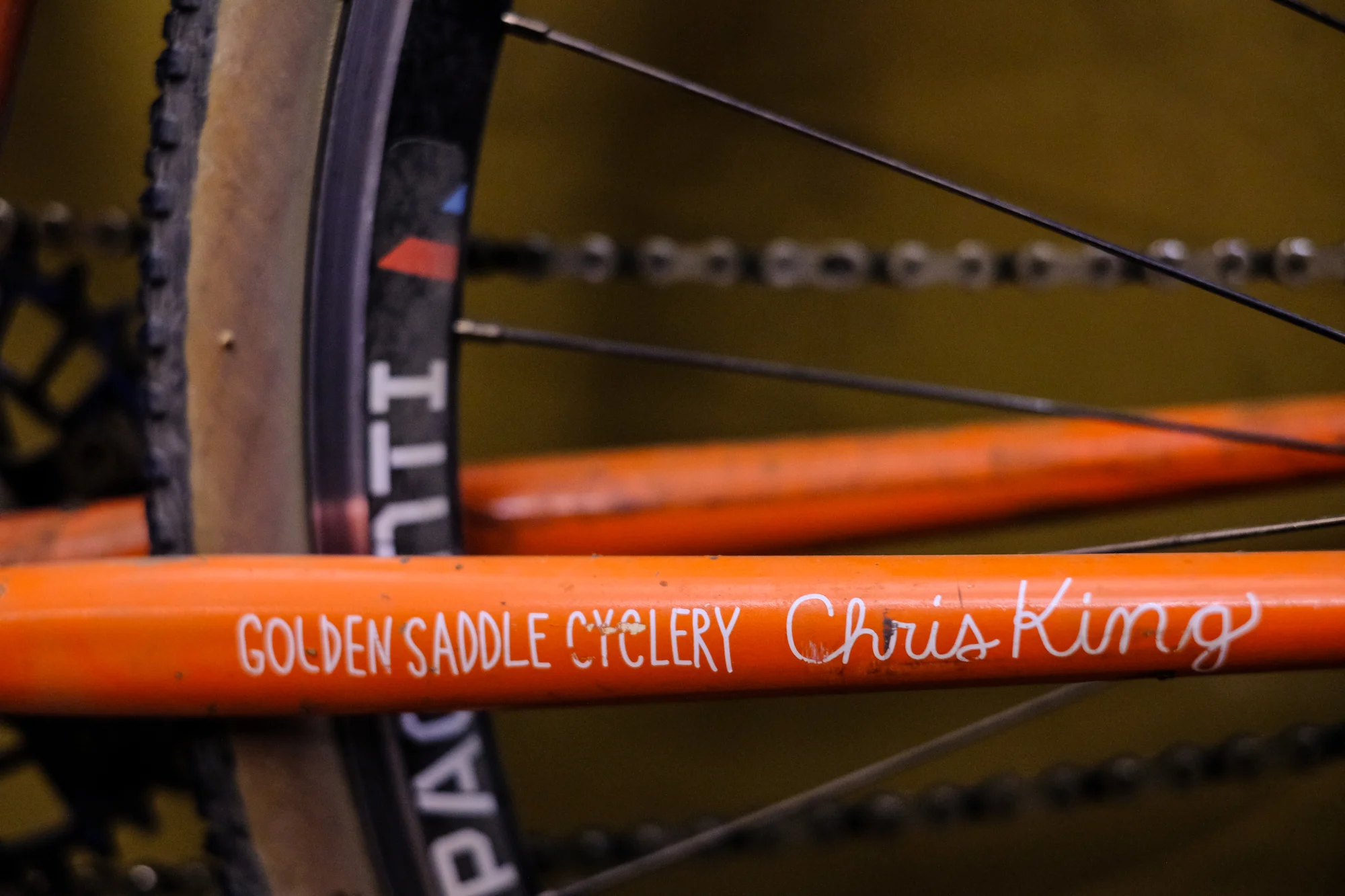 Golden Saddle-1.jpg