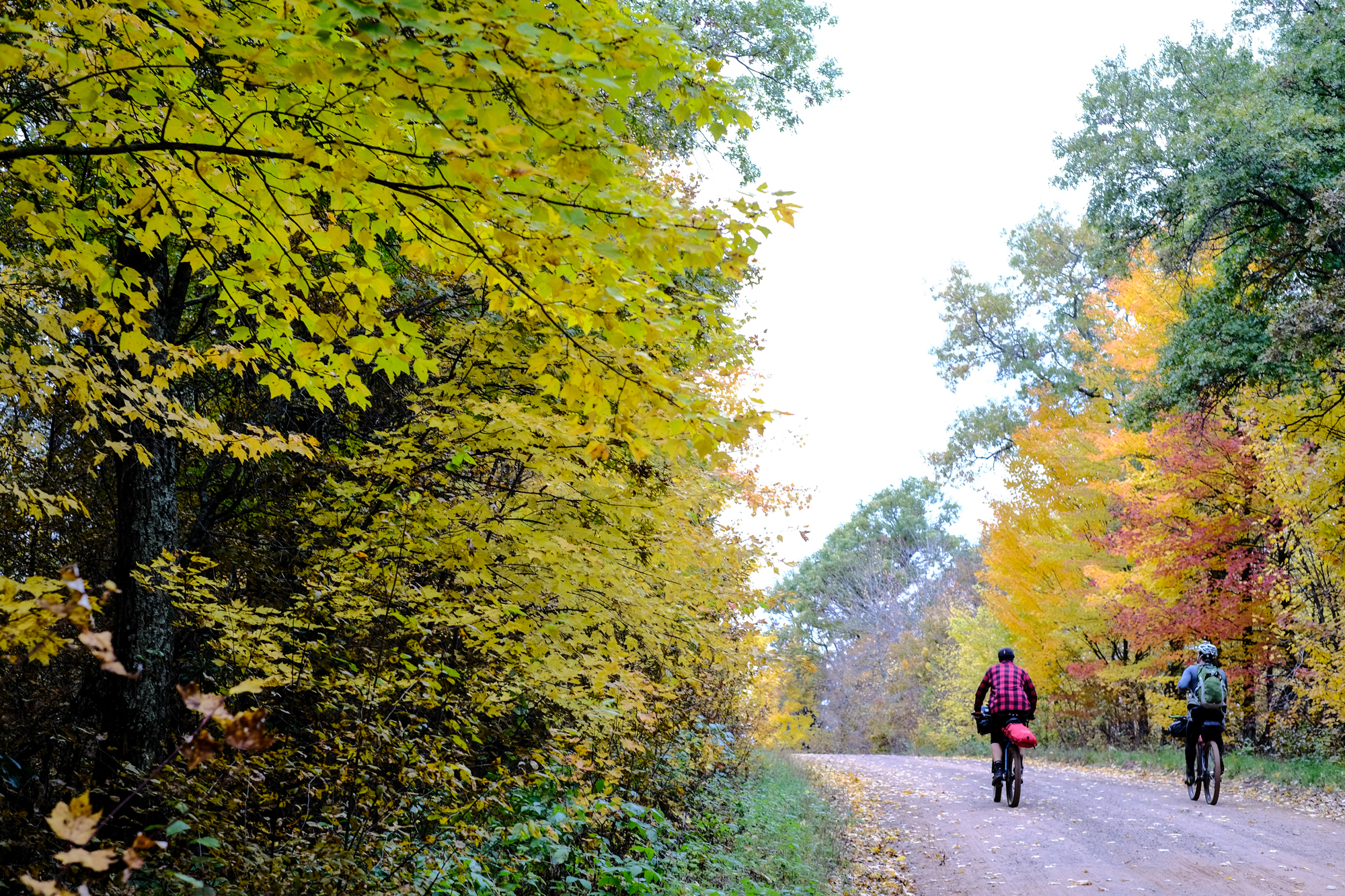 Sand Barrens_Oct 2018-17.jpg