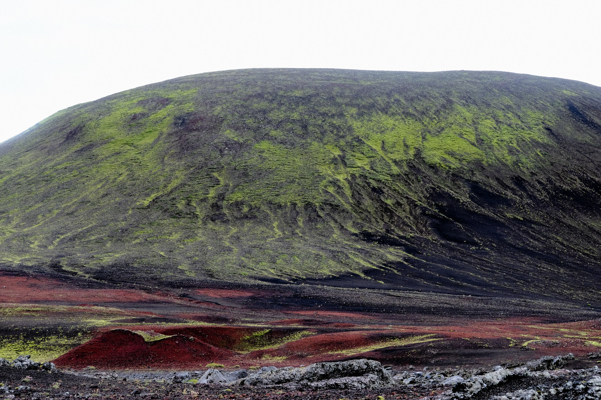Iceland Lo-46.jpg