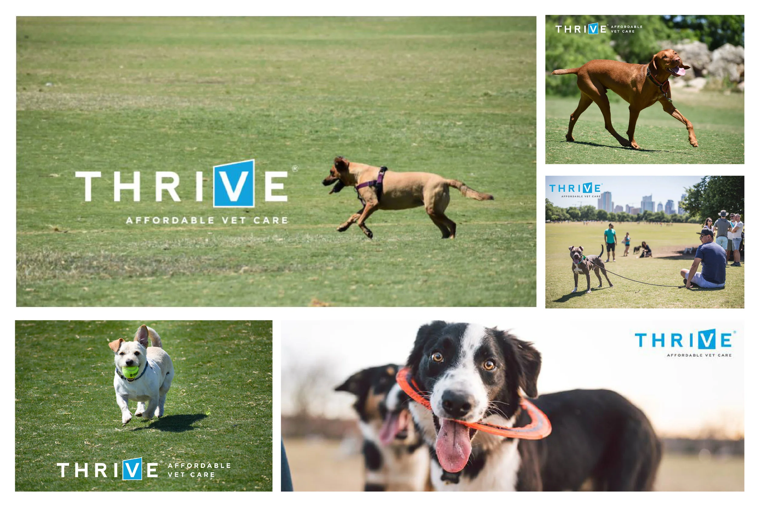 Thrive-photos-01.jpg