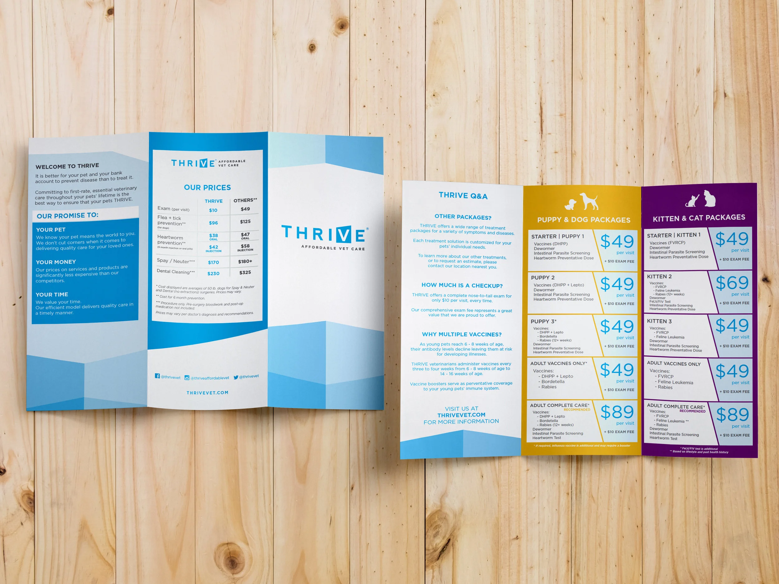 ThriveTrifold_full-mockup.jpg