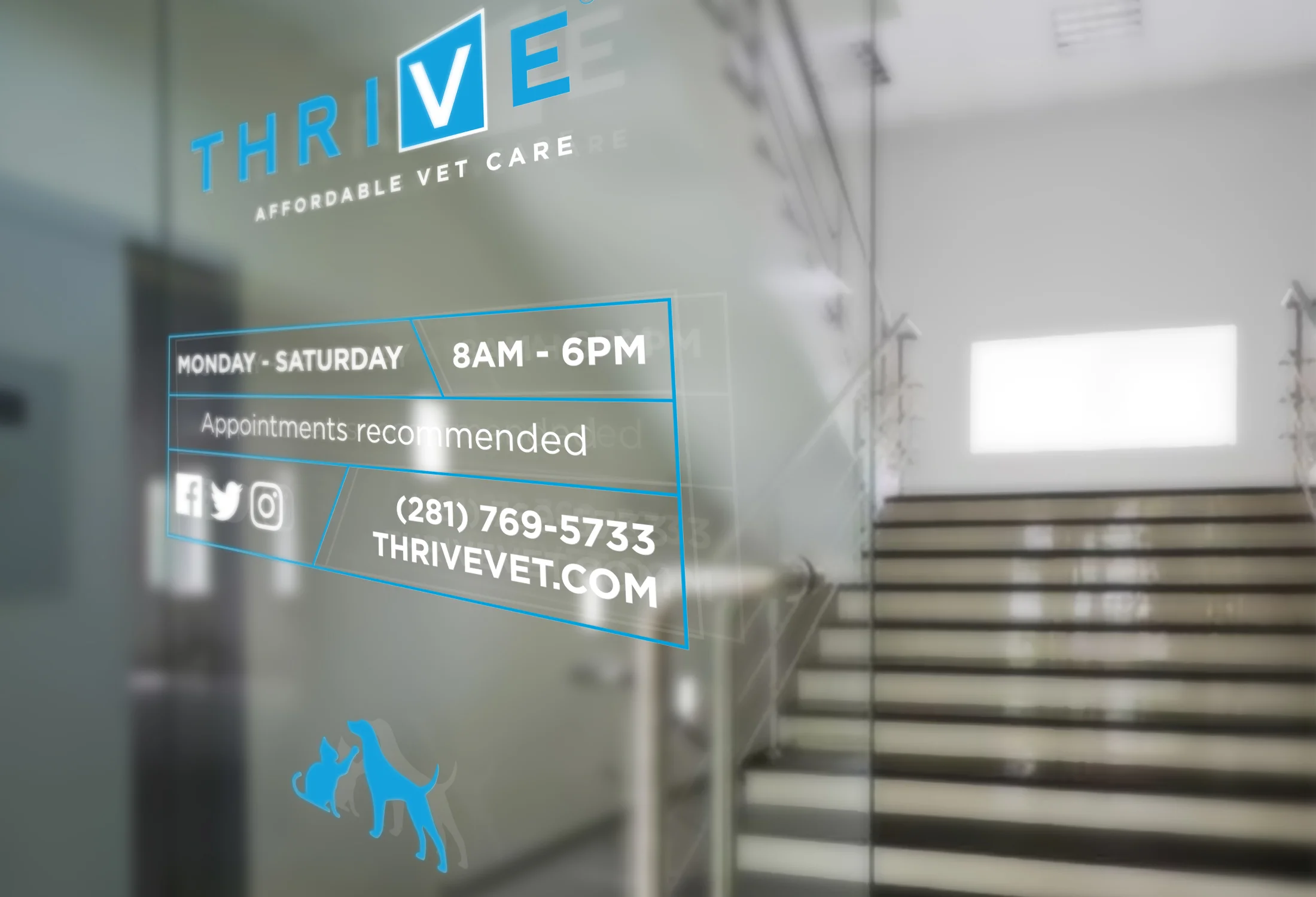 Thrive Brand Refresh & Expansion