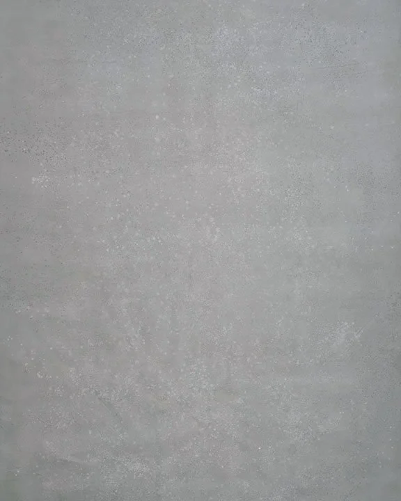 Dusted 01.jpg