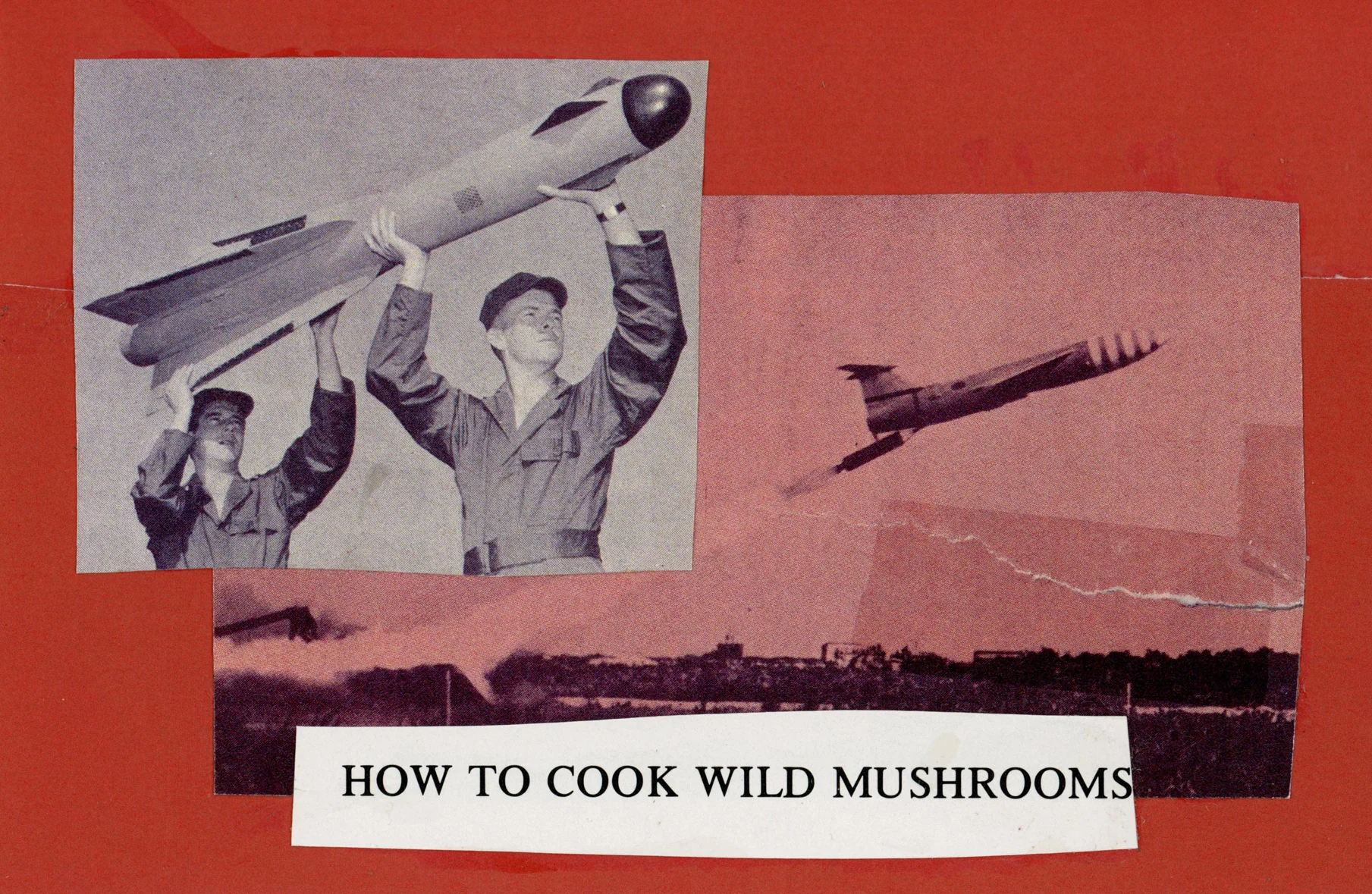 howtocookshroomscollage.jpg