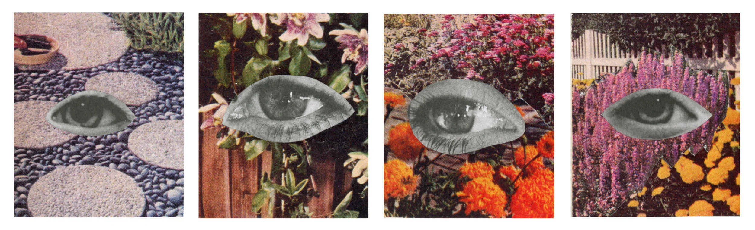 4eyescollages.jpg
