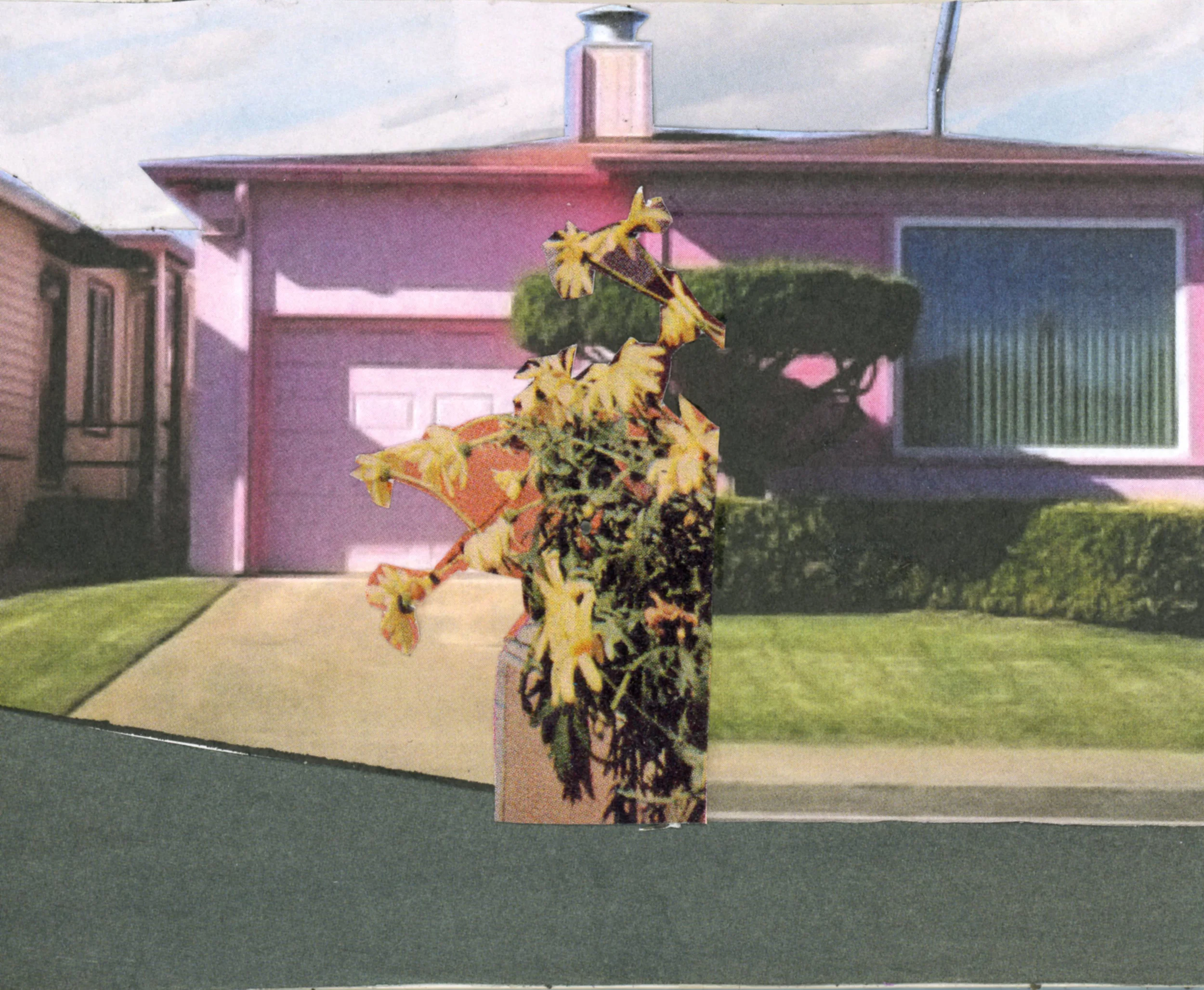 suburbanhomecollage.jpg