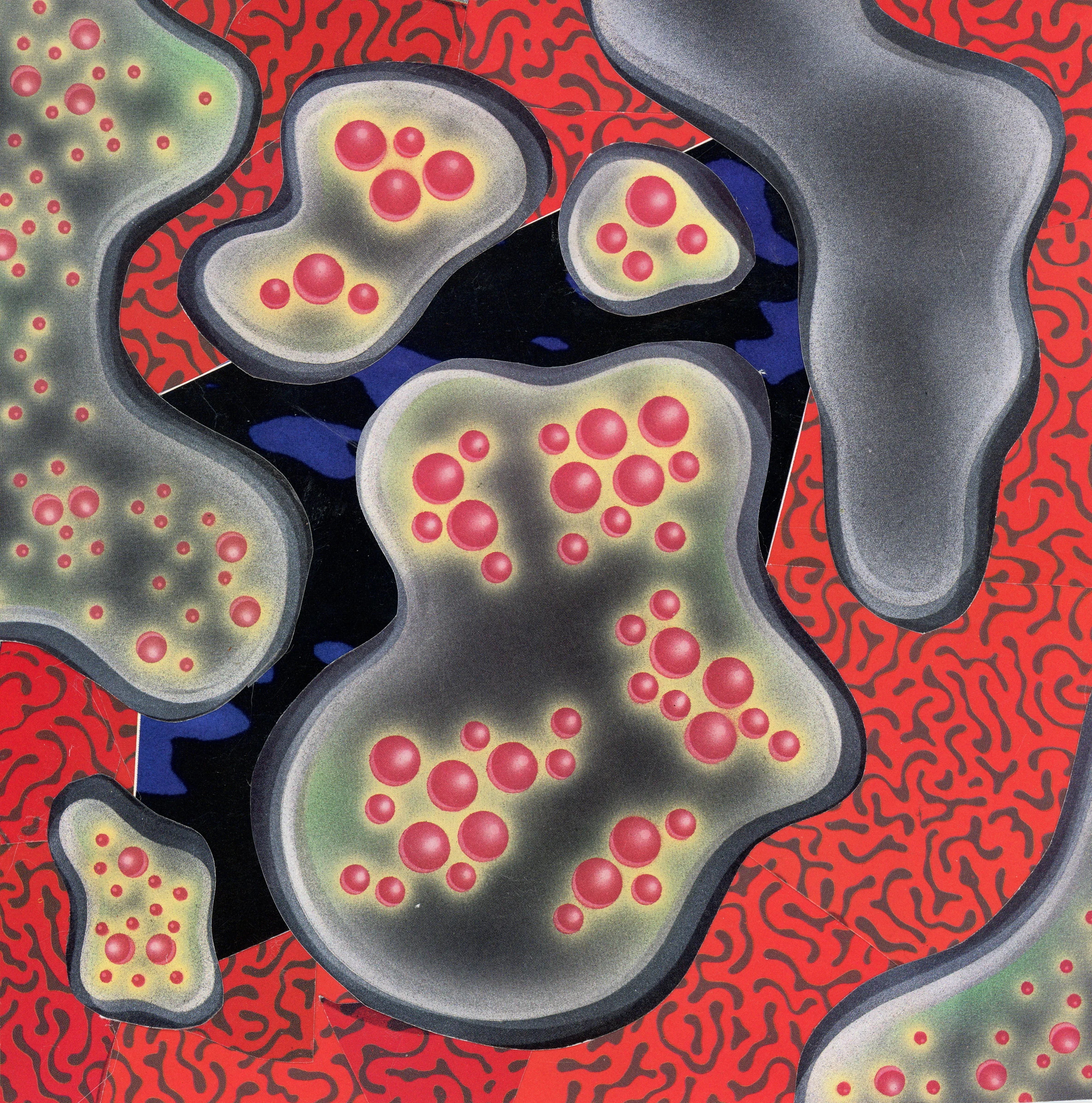 amoebas.jpg