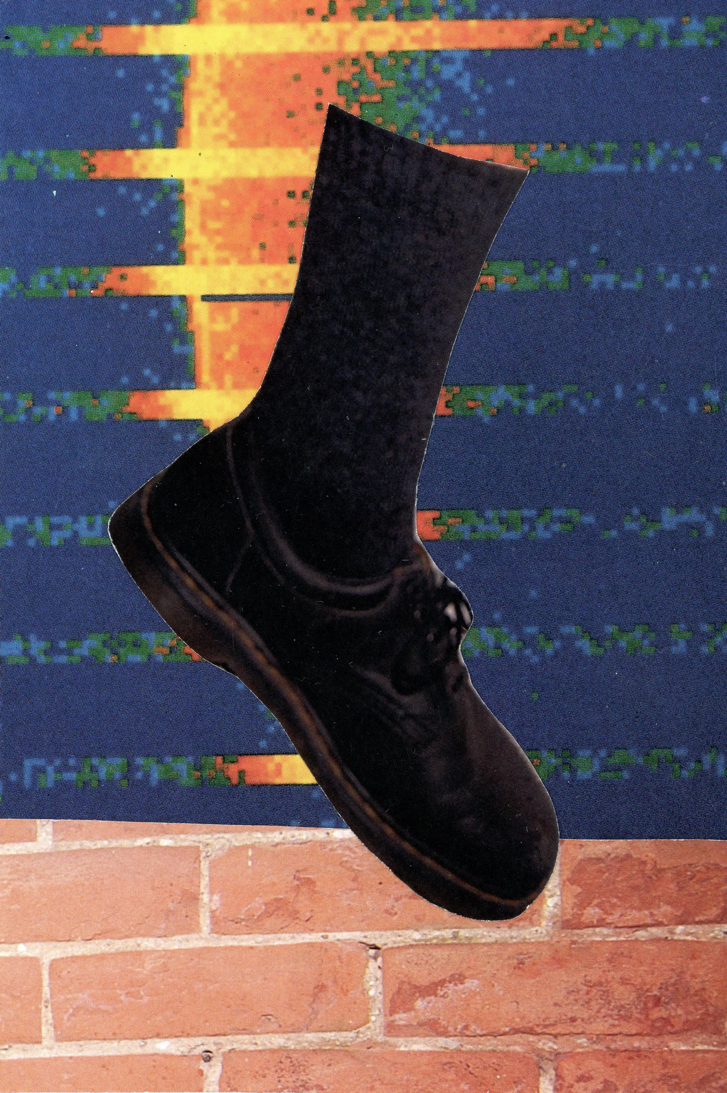 footwithshoe.jpg