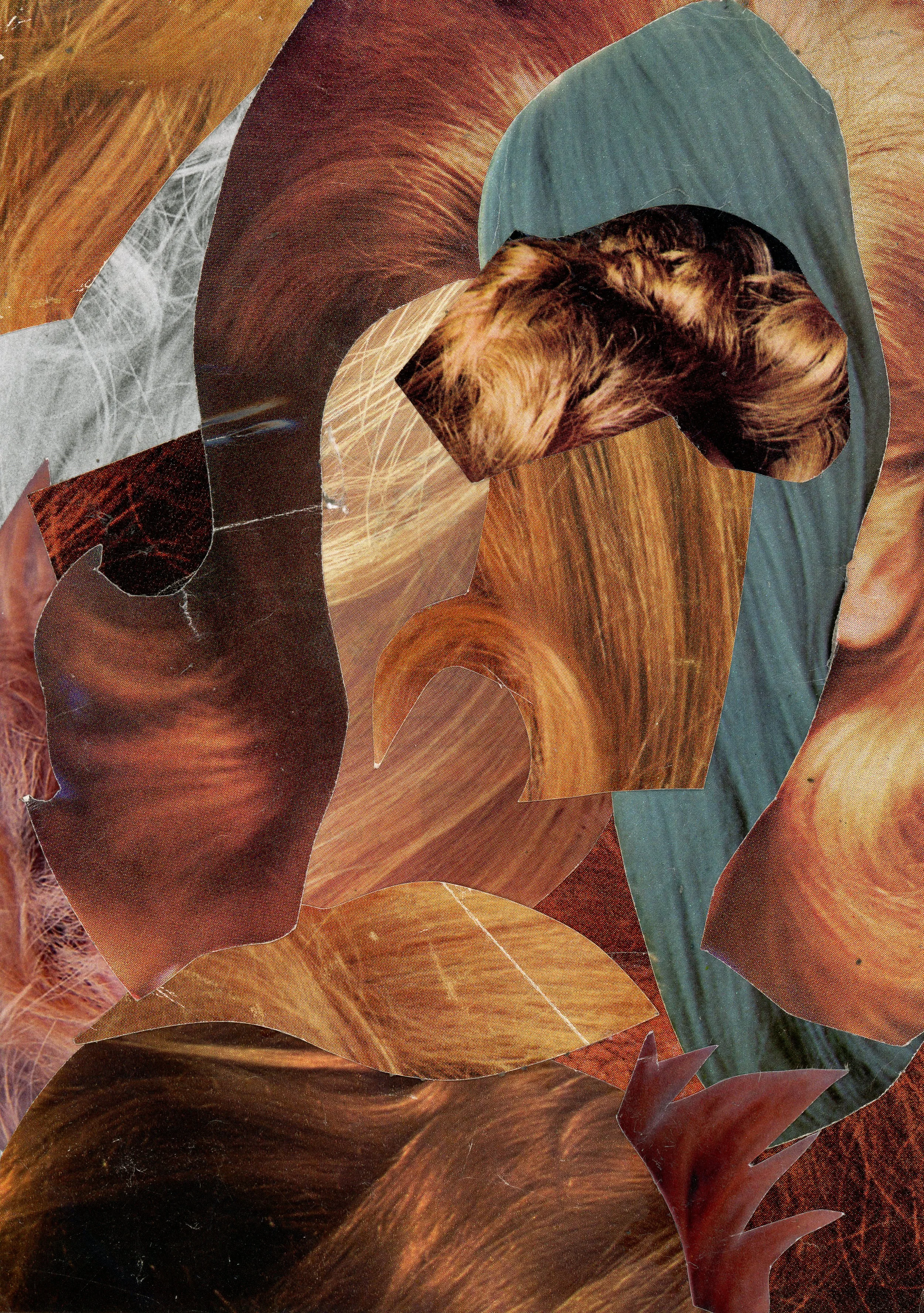 hair.jpg