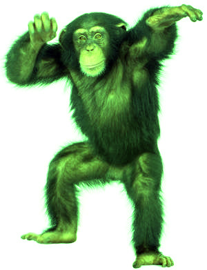 mcmonkey