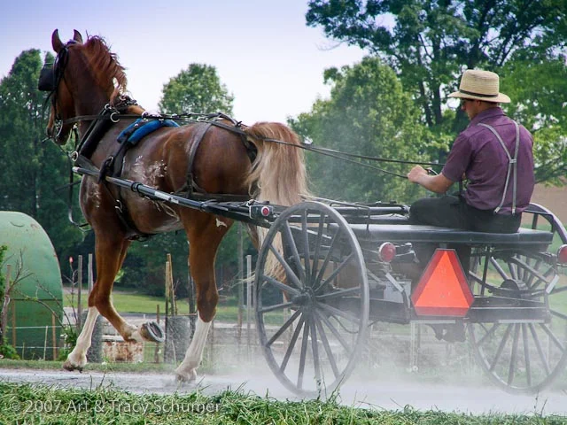 Determined Amish Teen Establishes Ridesharing Startup