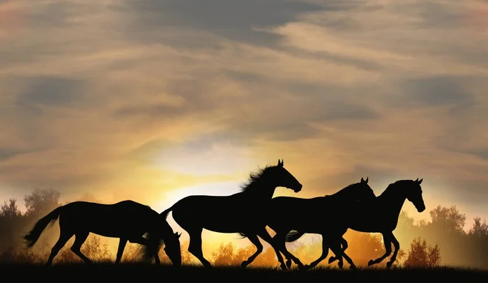 These 4 Horses Are In Hell For A Reason